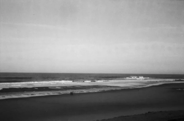 Снимок Двух Человек Оттенках Серого Идущих Пляжу Океана — стоковое фото
