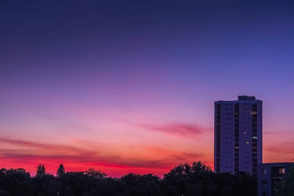 Een Prachtig Shot Van Hoge Gebouwen Bomen Onder Een Roze — Stockfoto