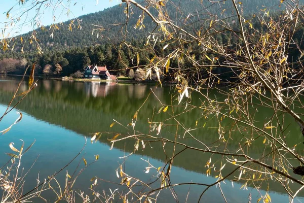 Lago Uma Floresta Montanha Área Rural — Fotografia de Stock