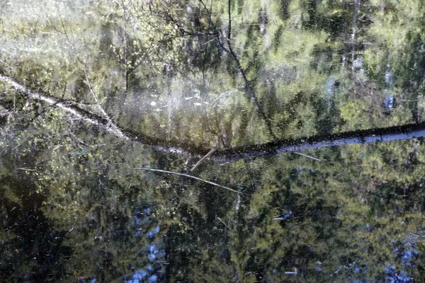 Uma Bela Foto Pequeno Lago Sujo Chamado Sulfner Sul Tirol — Fotografia de Stock