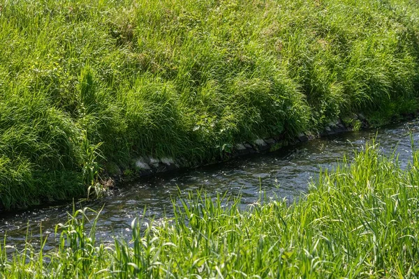 Gündüz Vakti Çimen Bitkilerle Çevrili Bir Nehir — Stok fotoğraf