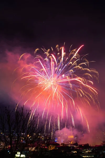 Vertical Shot Colorful Fireworks City Night Sky — Stock Photo, Image