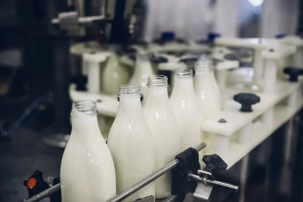 Una Toma Selectiva Enfoque Fábrica Embotellado Leche — Foto de Stock