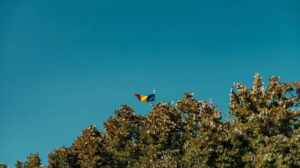 木々の低角度ショットと澄んだ青い空の下で表示されるアンドラの旗 — ストック写真