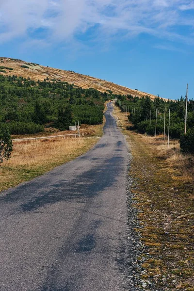 Asfalterad Väg Bergslandskapet Krkonose Nationalpark Tjeckien Vägen Från Vyrovka Till — Stockfoto