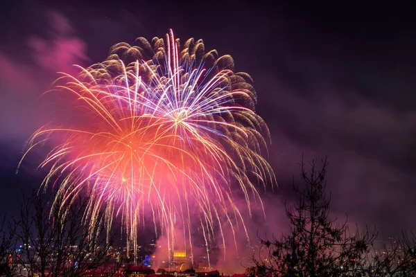 Una Hermosa Vista Fuegos Artificiales Colores Sobre Ciudad Cielo Nocturno —  Fotos de Stock