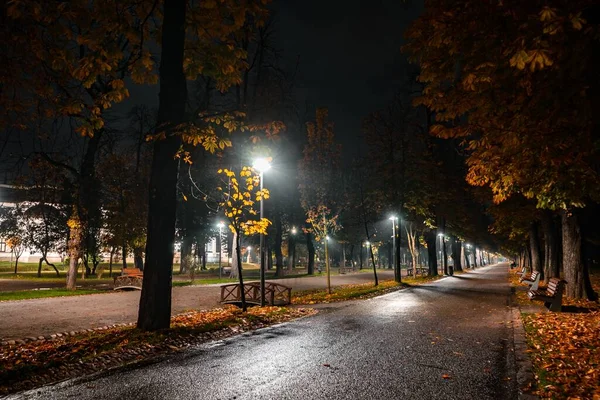 夜には美しい紅葉とベンチに囲まれた道 — ストック写真