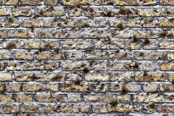 Pohled Starou Zeď Cihel Částečně Pokrytou Cementem Koncept Bariéra — Stock fotografie