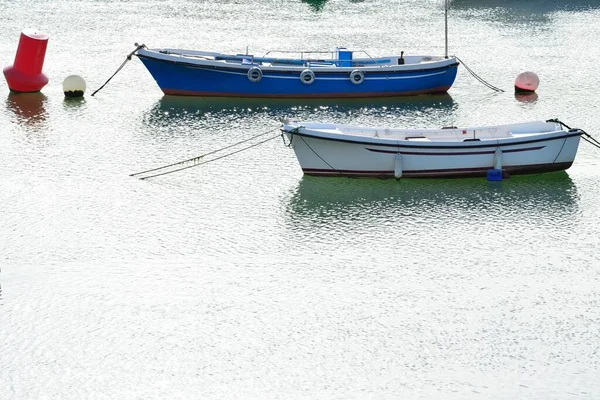 Dois Barcos Pesca Lago Durante Dia — Fotografia de Stock