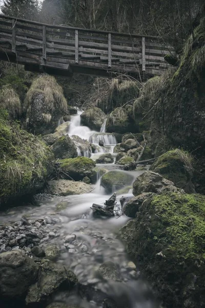 Vertikální Záběr Řeky Lese Starý Most Nad Ním — Stock fotografie