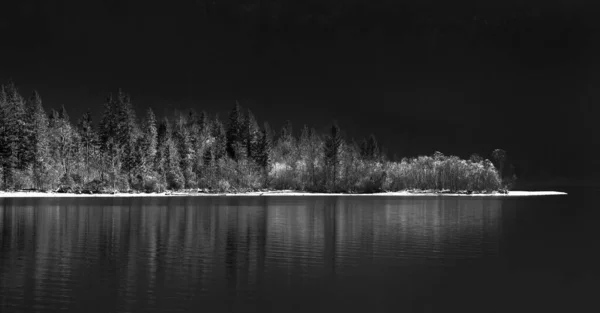 Graustufenaufnahme Eines Sees Der Nachts Von Einem Wald Umgeben Ist — Stockfoto