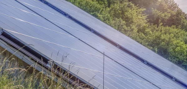 Panel Solar Rodeado Árboles Durante Día — Foto de Stock