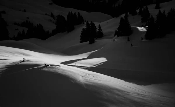 夜は雪に覆われた森のグレースケールのショット — ストック写真