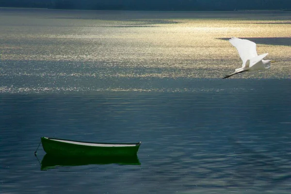 Gün Batımında Çekilen Boş Bir Tekneyle Sakin Denizin Üzerinde Uçan — Stok fotoğraf