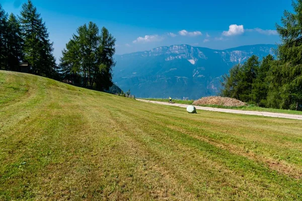 View Grassy Field Trees Mountains Background Sunny Day — Stock Photo, Image