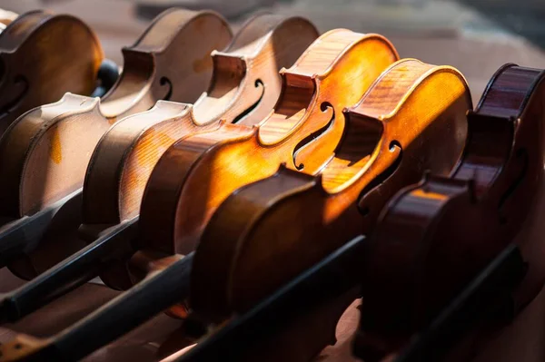 의전시에 히놓여 바이올린의 — 스톡 사진