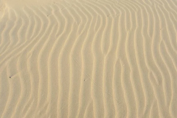 Sable Avec Texture Plage Pendant Journée — Photo