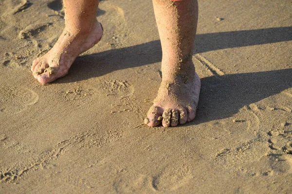 Ноги Ребенка Засыпаны Мокрым Песком Песчаном Пляже — стоковое фото