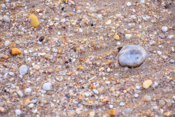 Uma Grande Pedra Branca Cercada Por Pedras Menores Praia — Fotografia de Stock