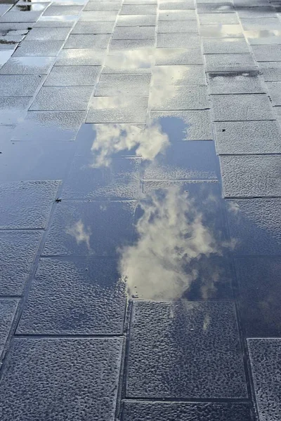 Los Guijarros Calle Después Lluvia Con Reflejo Ella — Foto de Stock