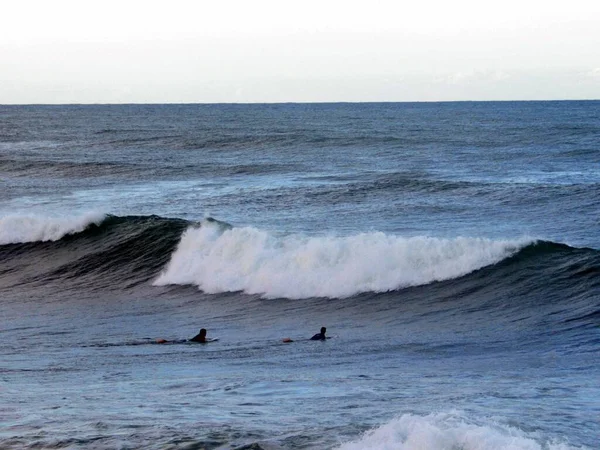 Una Hermosa Toma Surfistas Tratando Atrapar Una Ola Océano —  Fotos de Stock