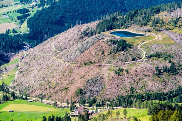 Utsikt Över Kal Kulle Med Fallna Träd Sydtyrolen Italien Efter — Stockfoto