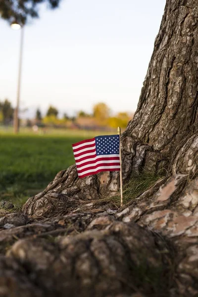 Bir Ağaç Gövdesinin Altında Abd Bayrağının Dikey Yakın Çekimi — Stok fotoğraf