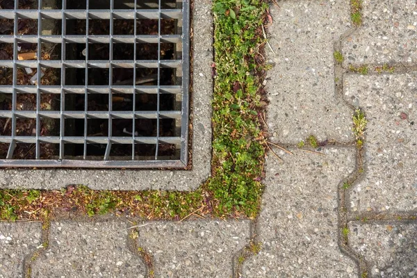 Ein Kopfschuss Eines Gullydeckels Auf Dem Boden Umgeben Von Gras — Stockfoto