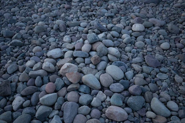 Beautiful Shot Rocky Assorted Field — Stock Photo, Image