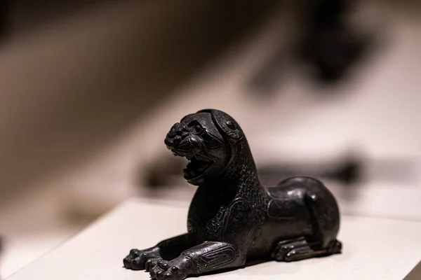 Closeup Shot Black Lion Statue Hittite Findings Anatolia Corum Turkey — Stock Photo, Image