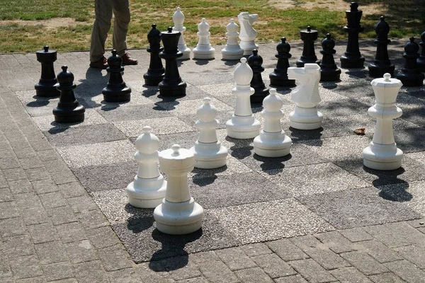 Большие Шахматные Фигуры Парке Днем — стоковое фото