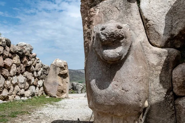Closeup Lion Stone Sculptures Gate Historical Site Hattusas Bogazkale Turkey — Stock Photo, Image