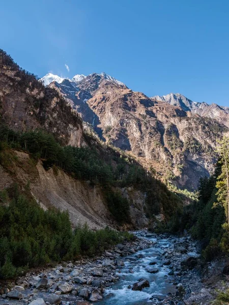 Vertical Shot Annapurna Himalayas Nepal — Stock Photo, Image