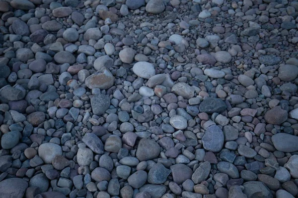 Eine Nahaufnahme Aus Kieselsteinen Auf Dem Boden — Stockfoto