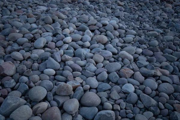 岩の多い畑の美しいショット — ストック写真