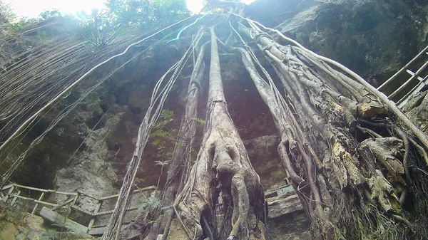 Hermoso Tiro Una Cueva Muchas Cuerdas Escalada — Foto de Stock