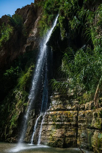 Vertikal Bild Ett Litet Vattenfall Omgivet Klippor Och Grönska Solljuset — Stockfoto