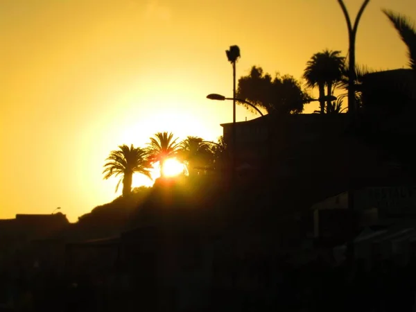Ein Faszinierender Blick Auf Einen Atemberaubenden Sonnenuntergang Hinter Den Palmen — Stockfoto
