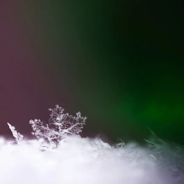 Macro Shot Snowflake Lights Colorful Blurry Background — Stock Photo, Image