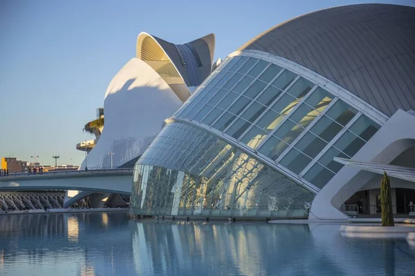 Valencia Espanha Maio 2019 Visitando Bela Cidade Ciência Cidade Valência — Fotografia de Stock