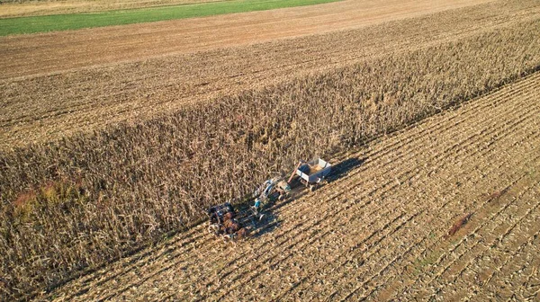 Una Toma Alto Ángulo Los Tractores Que Trabajan Campo Trigo —  Fotos de Stock