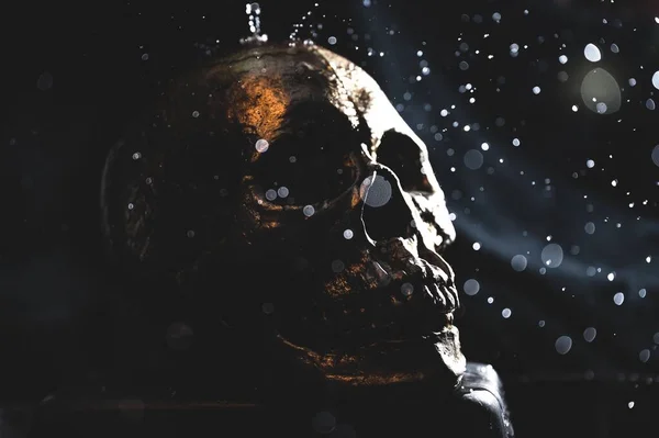 黒い背景に人間の頭蓋骨のクローズアップショット — ストック写真