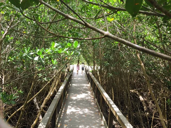 Pessoas Que Caminham Sobre Ponte Madeira Cercada Por Árvores — Fotografia de Stock