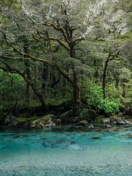 Eau Bleue Propre Grosses Pierres Dans Forêt Tropicale — Photo