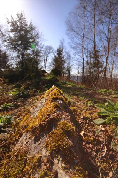 Egy Függőleges Lövés Egy Nagy Szikláról Amit Őszi Táj Vesz — Stock Fotó