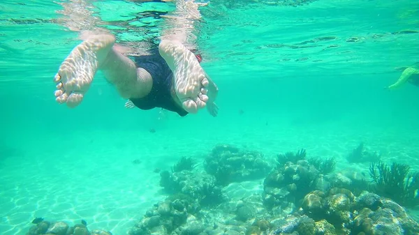 澄んだ海水の中でダイビングする男の美しいショット — ストック写真