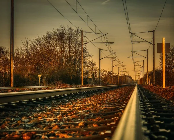 Close Uma Ferrovia Rodeada Por Árvores Outono Folhas — Fotografia de Stock