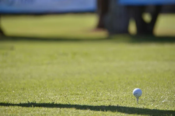 Yeşil Çimlerin Güneş Işığında Golf Topuyla Seçici Odak Noktası — Stok fotoğraf