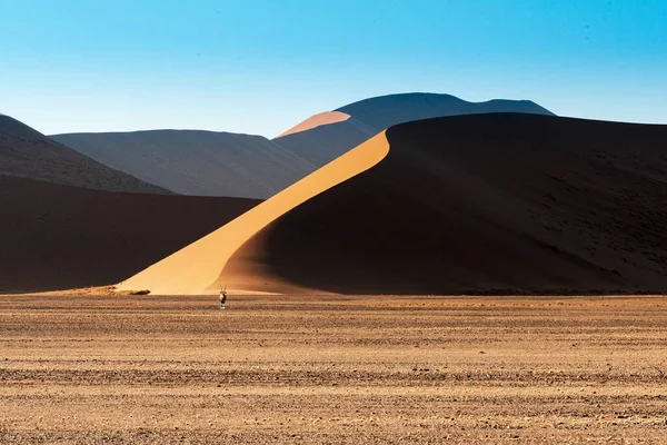 Beautiful Picture Namib National Park Dunes Oryx Brown Sand Mountains — Stock Photo, Image
