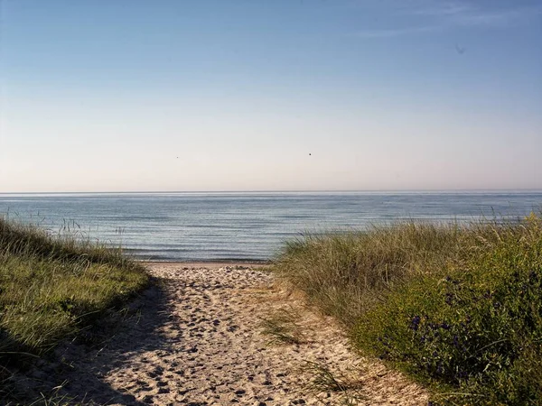 Een Zandpad Dat Overdag Naar Zee Leidt — Stockfoto